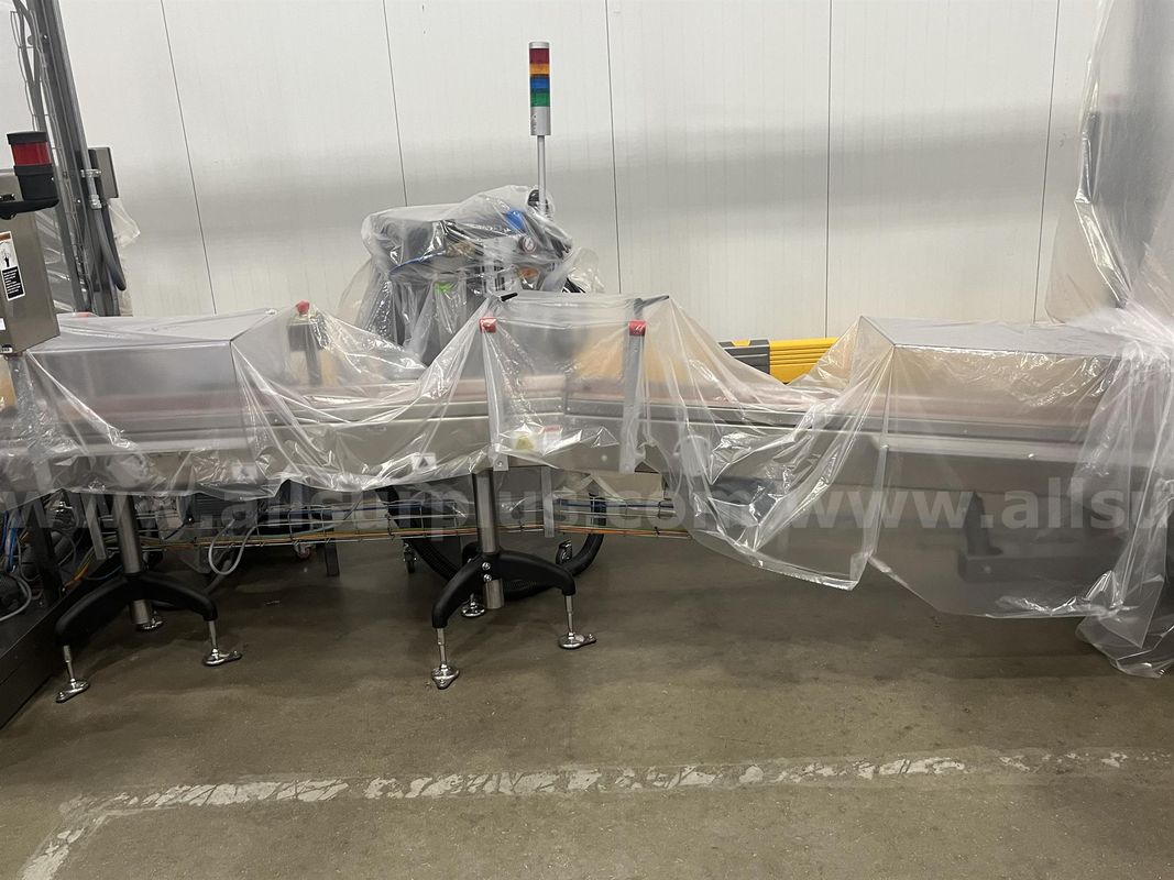 Case Packer Infeed Conveyor