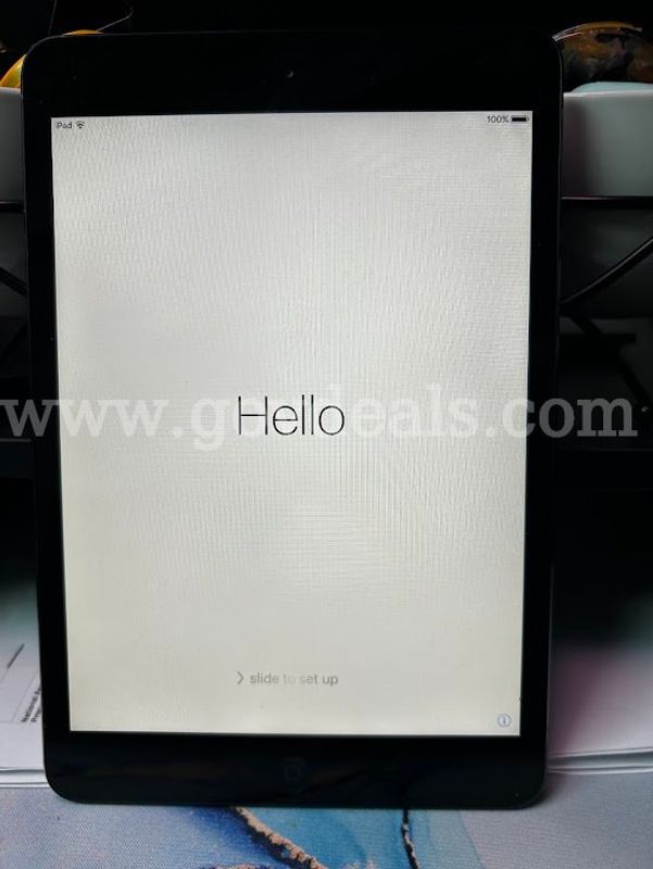 iPad Mini