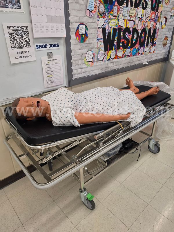 1x Laerdael Nursing Annie high fidelity mannequin