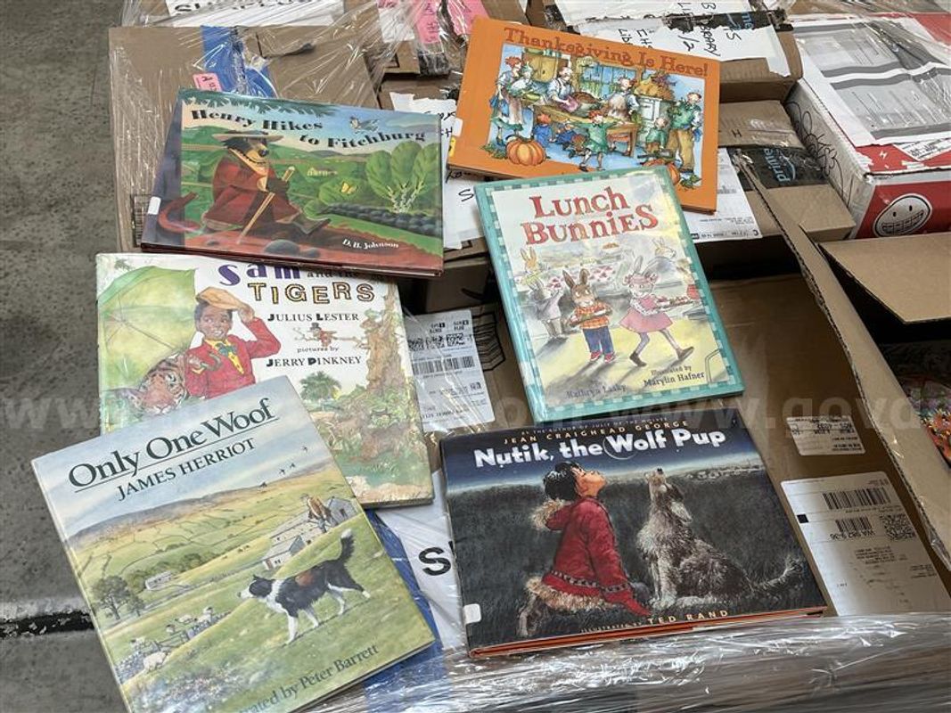 K-12 Library Assorted Books Lot A-994