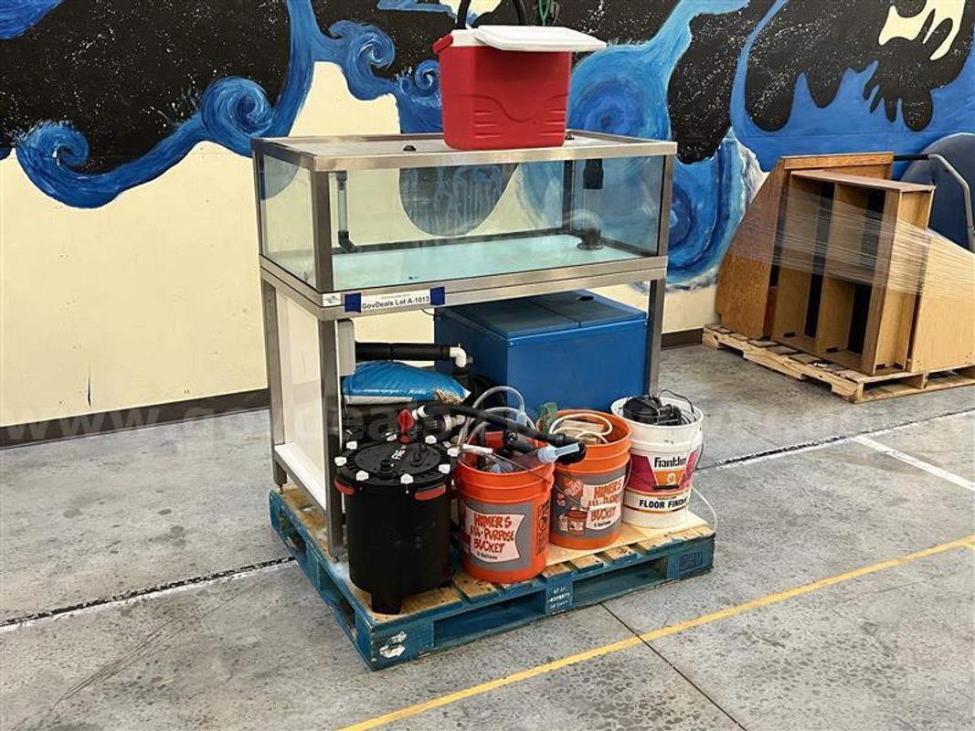 Fish Tank Lot A-1013