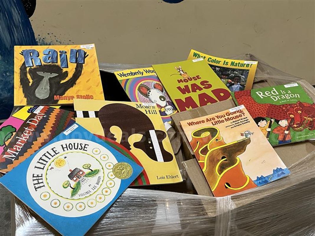 K-12 Library Assorted Books Lot A-1051