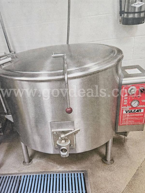 Vulcan Steamer GS60 (Buyer needs to be able to remove themselves)