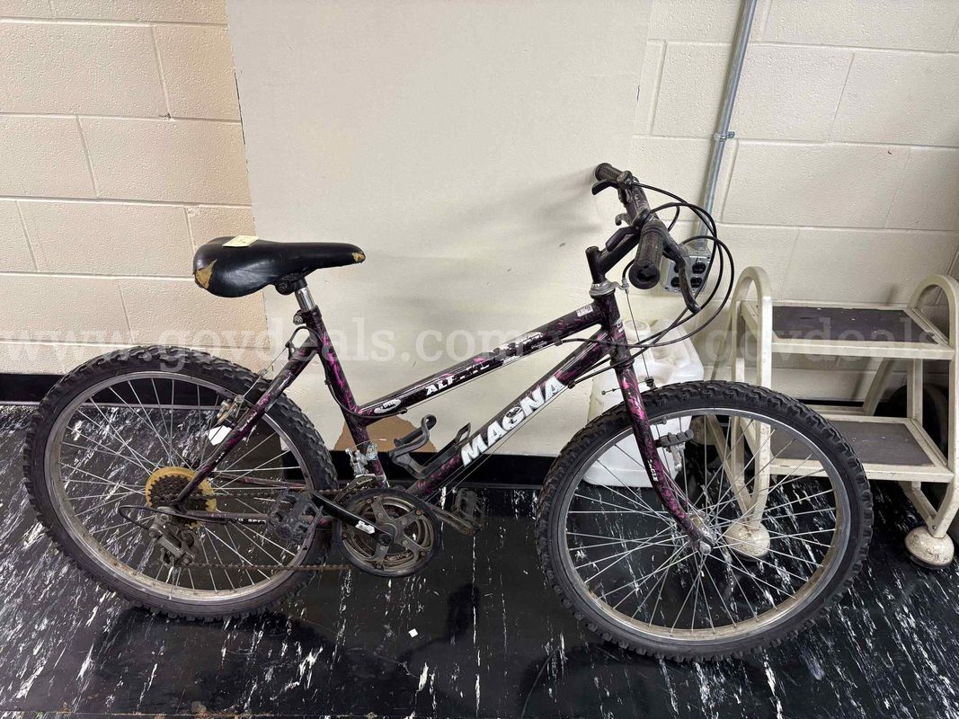 Sport Equipment: MAGNA 18 SPEED BICYCLE APLINE EAGLE