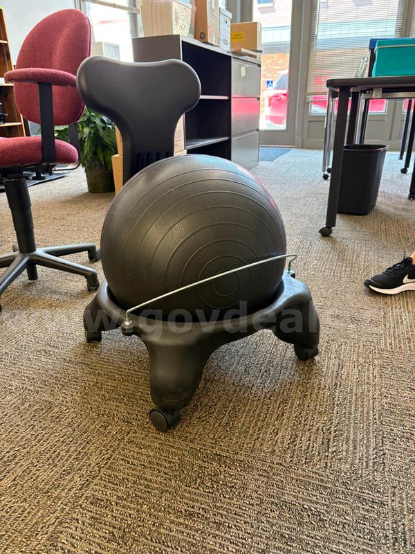 Gaiam Classic Balance Ball Chair