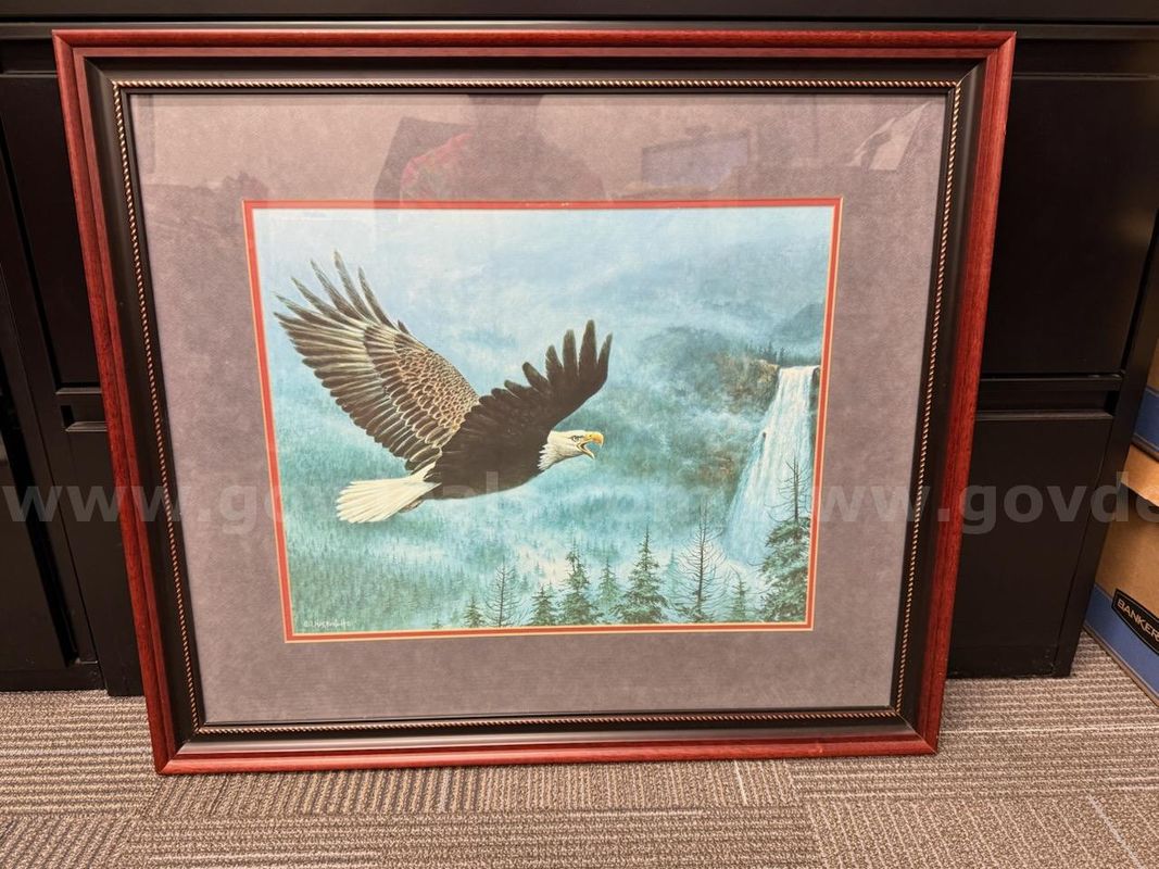 30" x 26.5" Eagle Framed Print