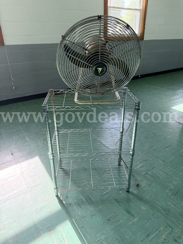 Fan and Wire Rack
