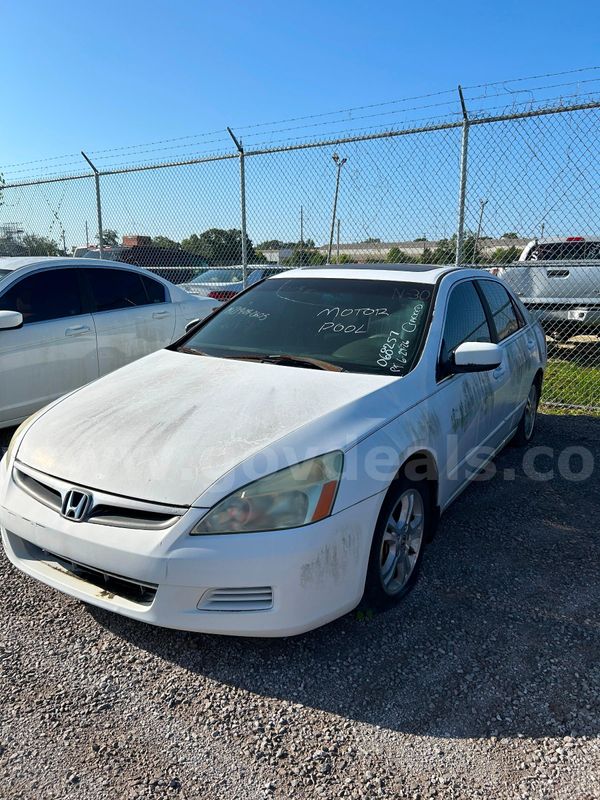 White 2006 Honda Accord
