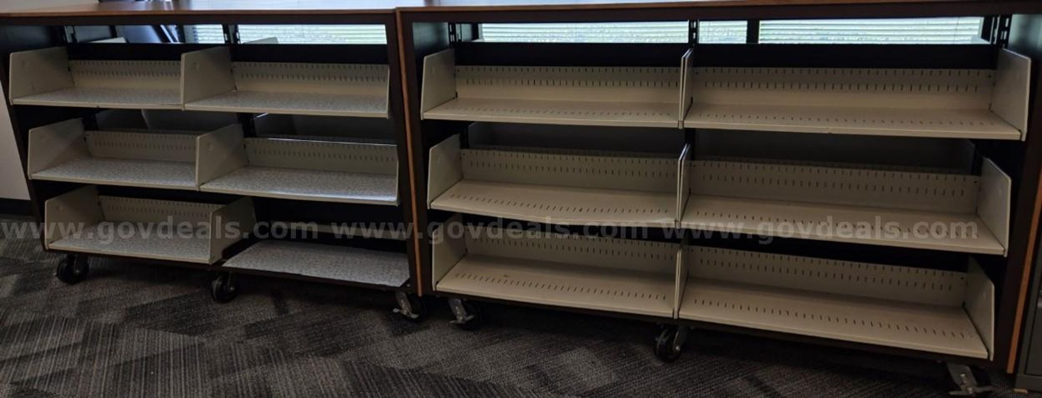 2 Double-sided rolling shelf units 6’ 6” X 4’2” X 2’2.5”