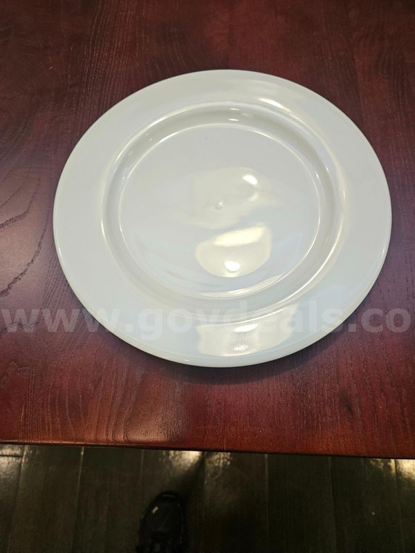 Set of a Dozen Tuxton Dinner Plates 10- ½”