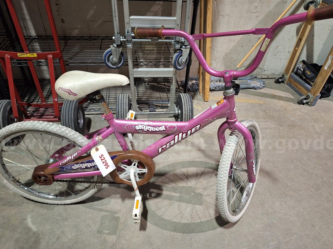 Rallye Skyquest Children's Bike