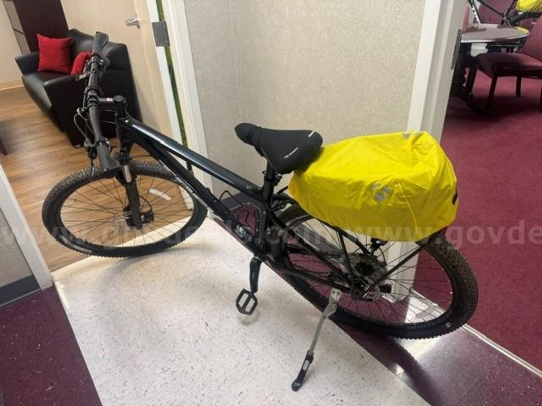 2019 Police 29 TRK BLK 19.5"