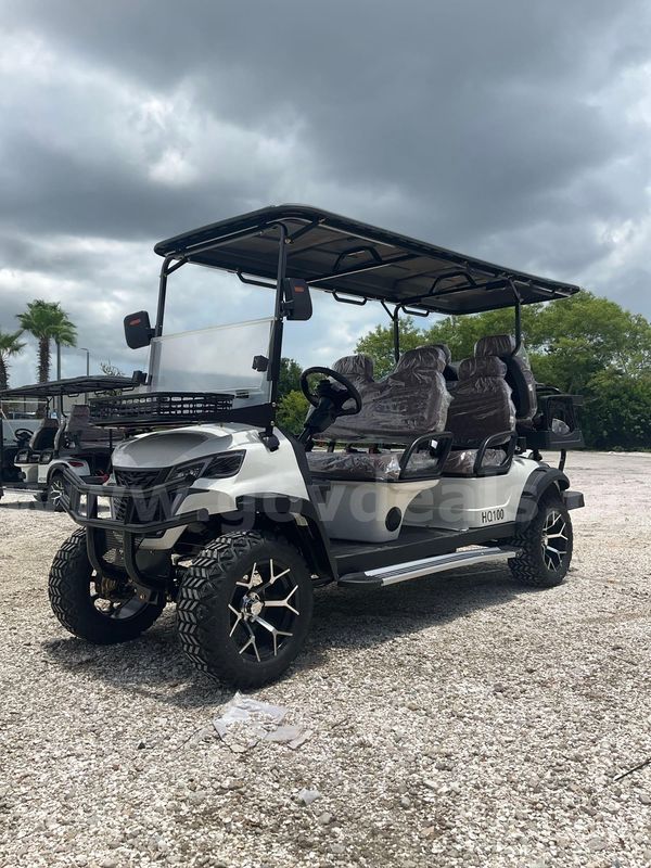 New 6 Seater 2026 Sdlanch Golf Cart