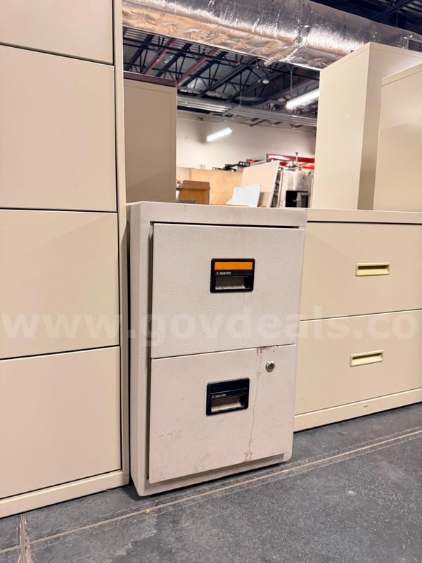 Sentry Record Protection Filing Cabinet