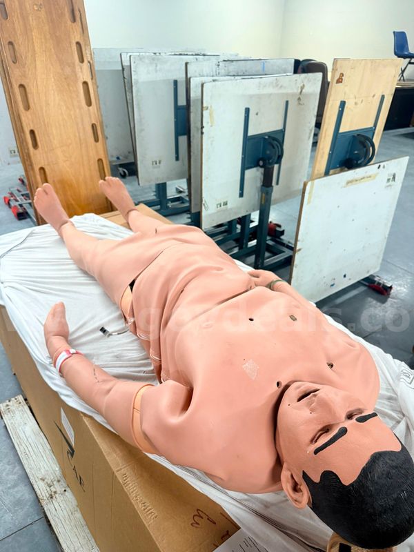 Full Body Adult Patient Simulator