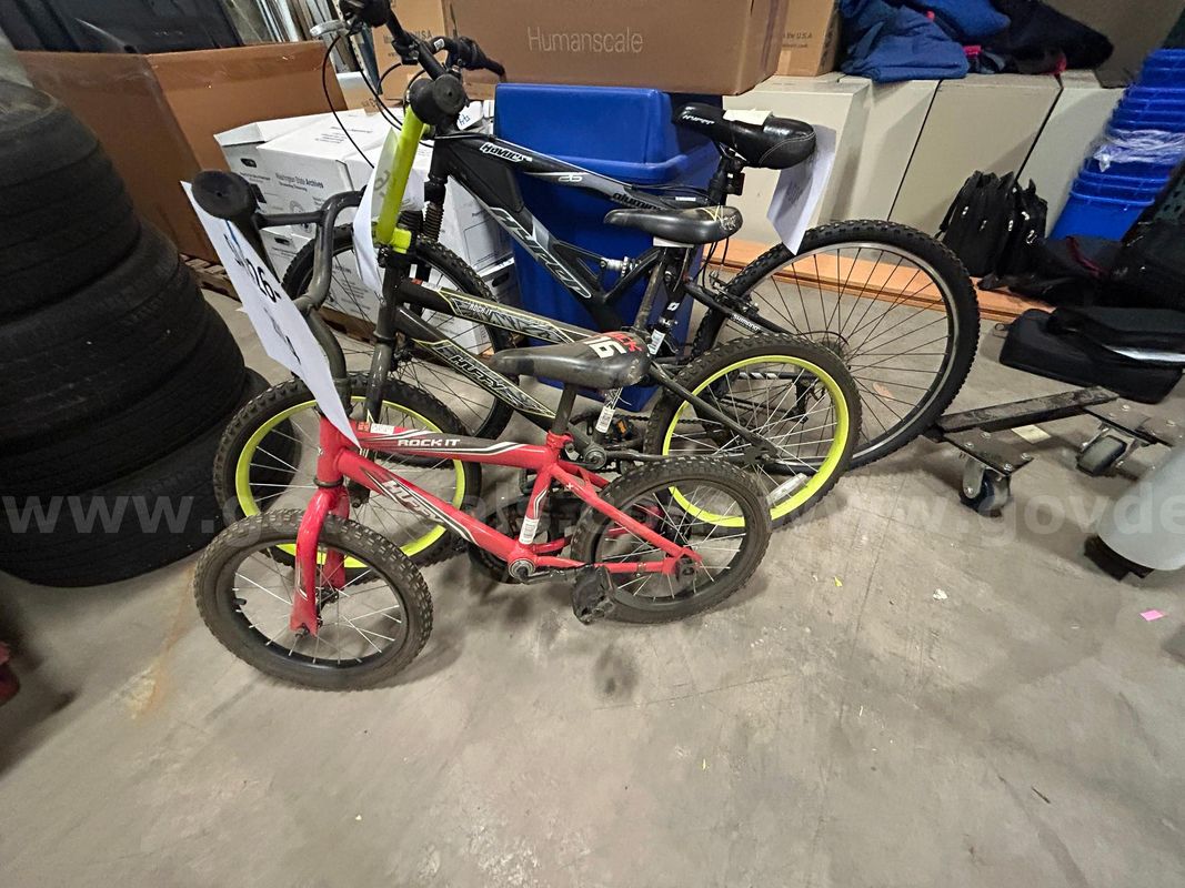 Bike (ct.3) (ID#12432) (26-2024-3) 300