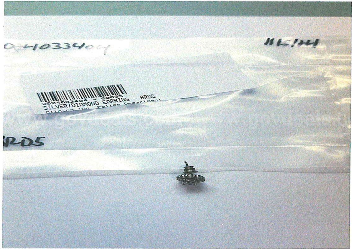 Silver Earring w/Cubic Zirconia Stone