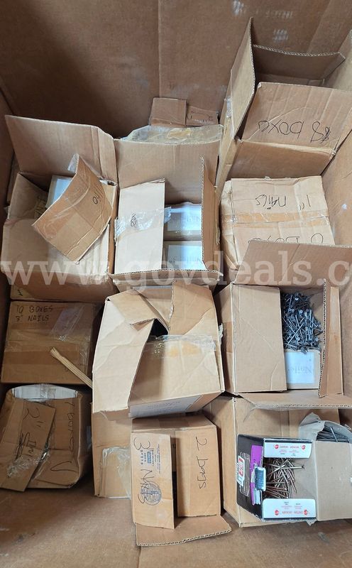 Bulk Lot of Assorted Nails and Screws