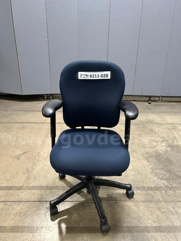 Computer Chair, Blue