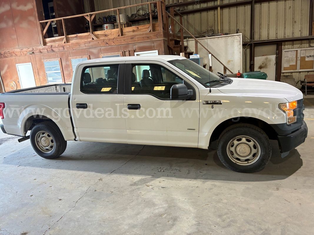 Delhi 2016 Ford F-150 King-Ranch SuperCrew 5.5-ft. 2WD