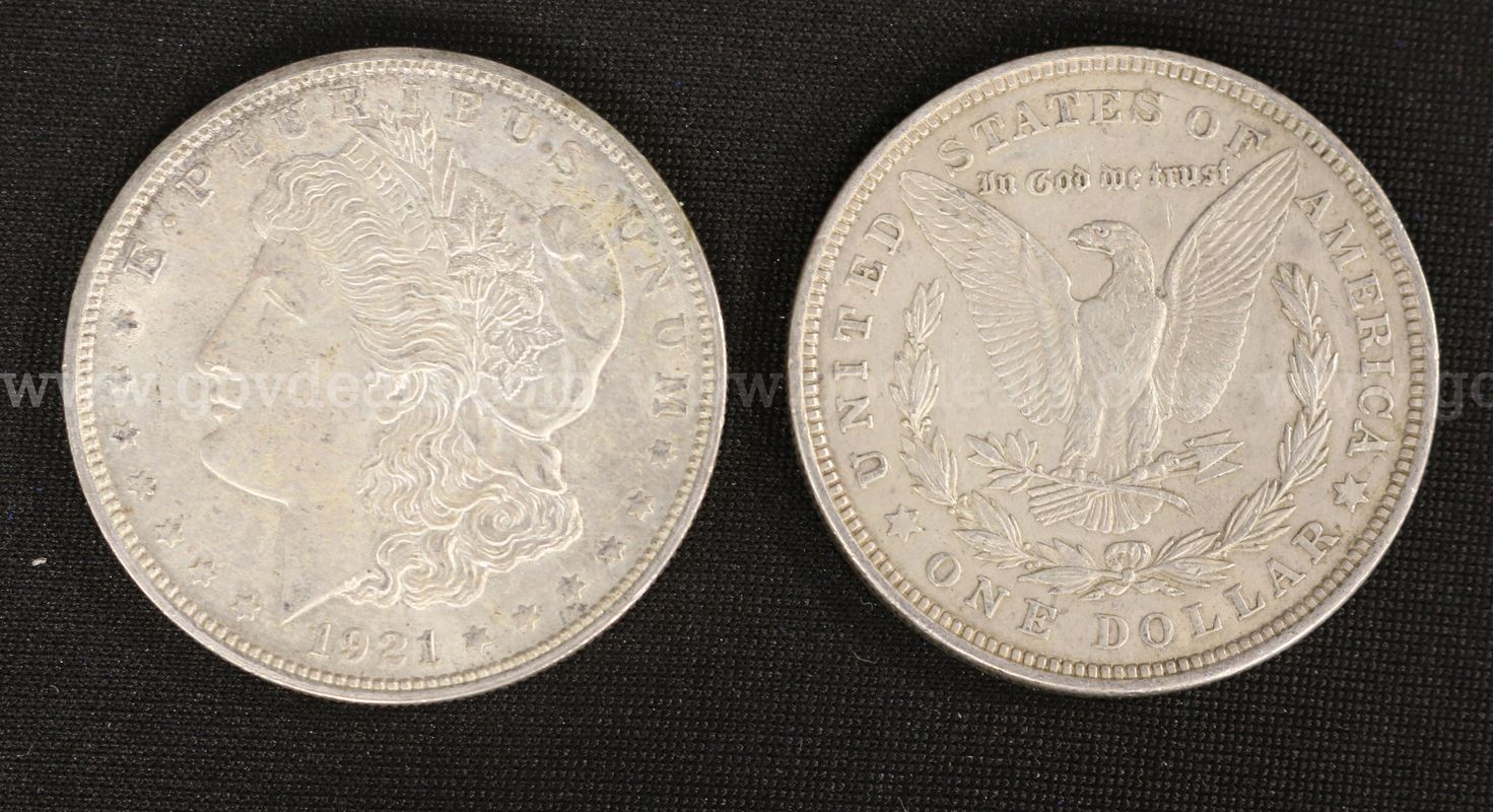 9 U.S. Silver Morgan Dollar Coins, Some Graded