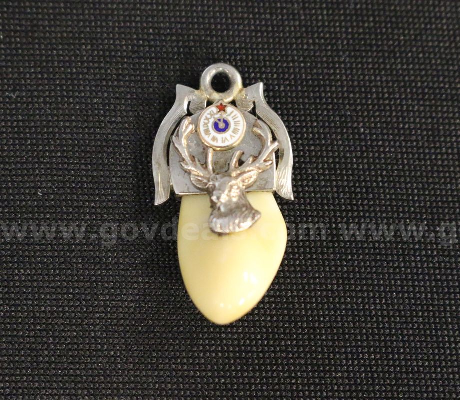 18k White Gold Masonic 11th Hour Elk Tooth Pendant, 3.7 Grams