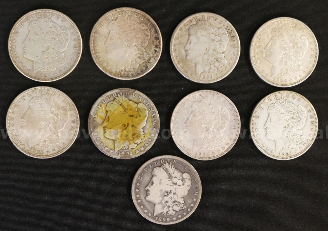 9 Assorted U.S. Silver Morgan Dollar Coins