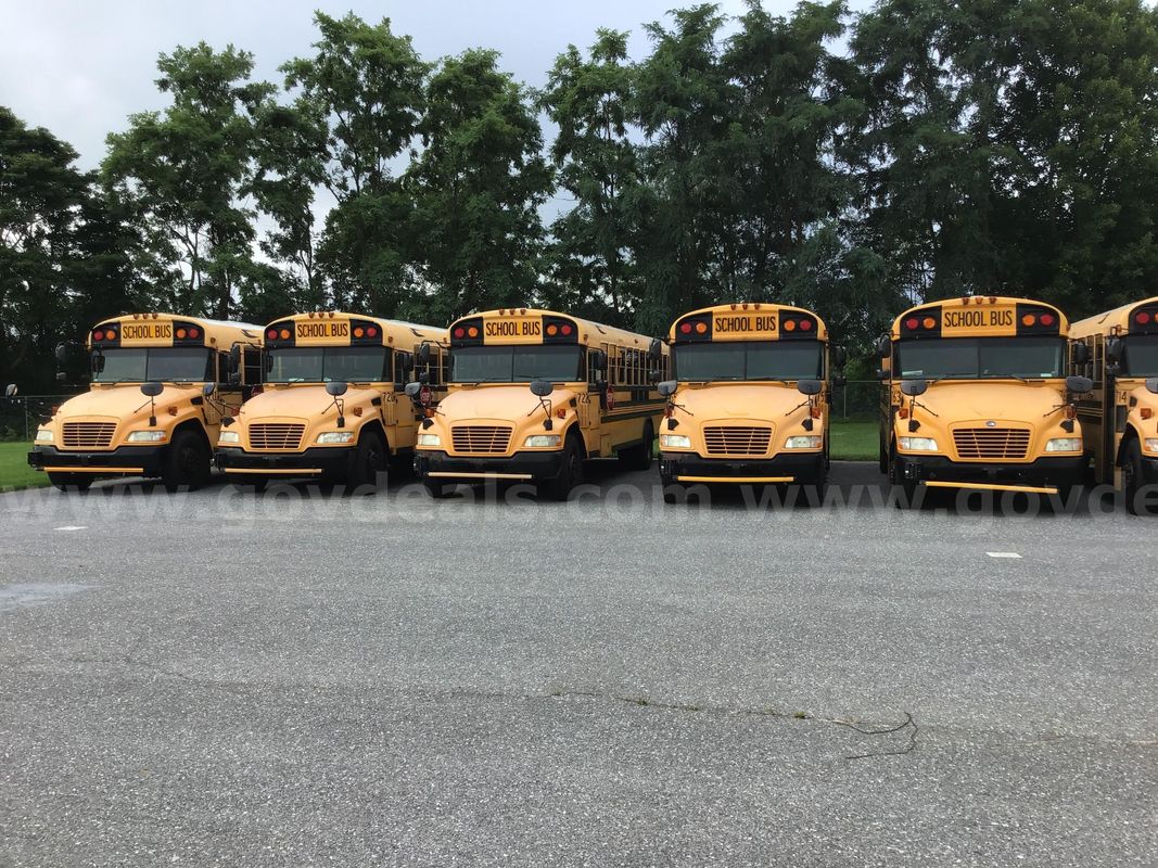 Lot of 5 buses