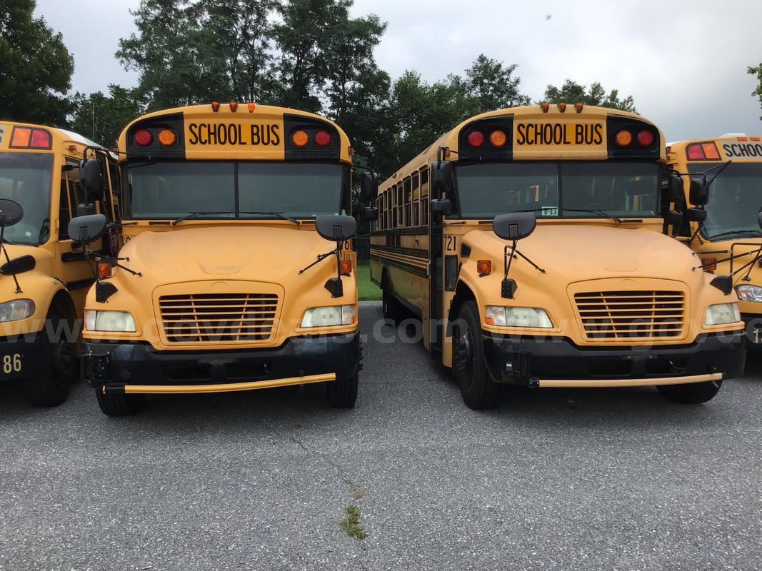 Lot of 6 buses