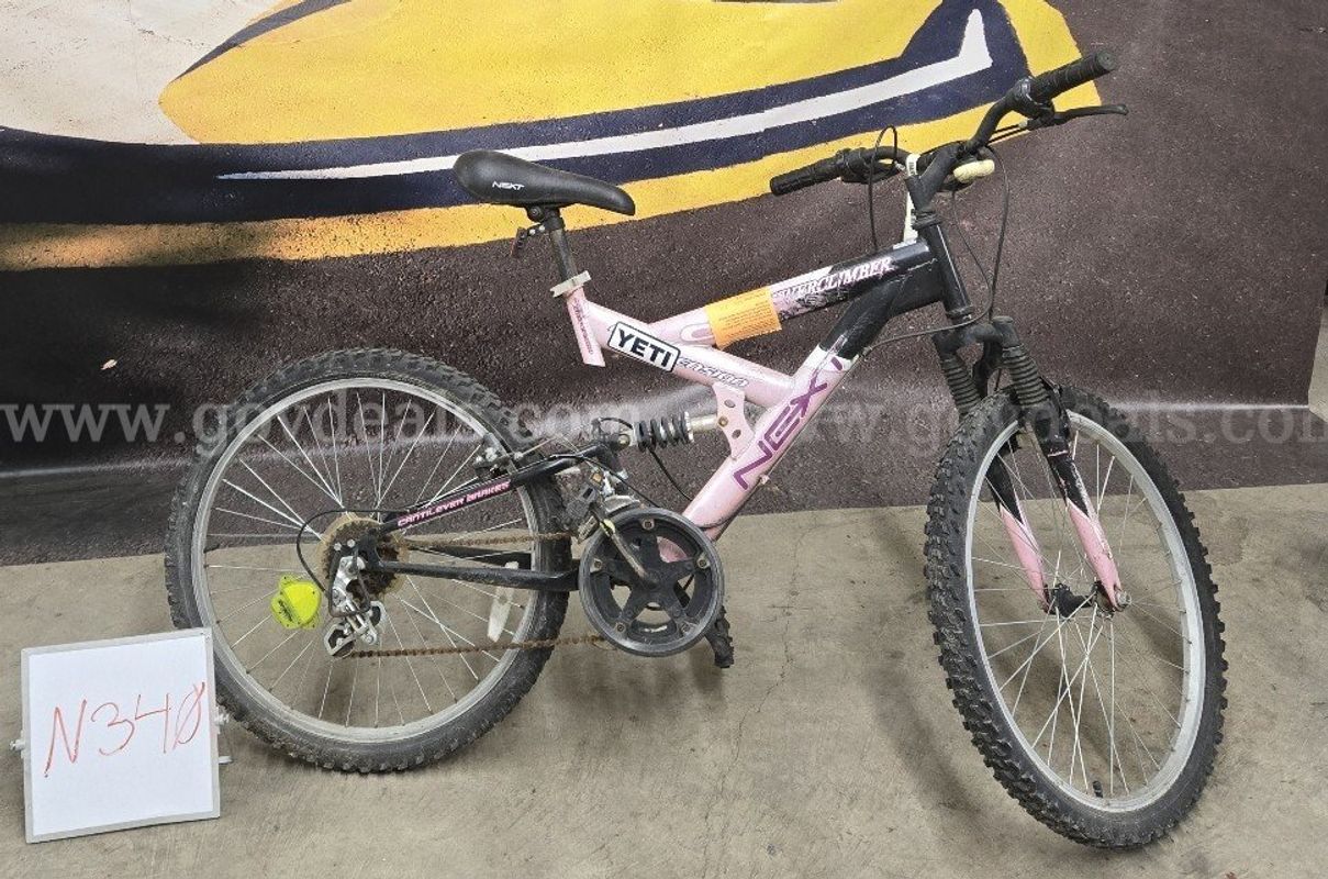 Next Powerclimber, 18-Inch Ct