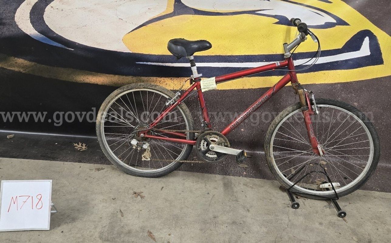 Diamondback Wildwood Cit1, 19-Inch Ct