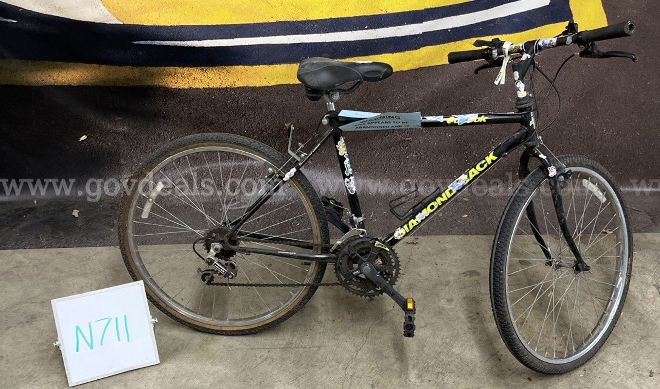 Diamondback Outlook, 18-Inch Ct