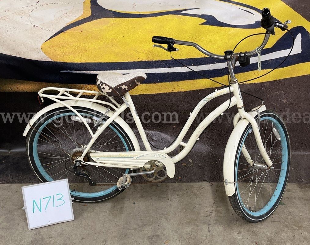 Schwinn Unknown, 18-Inch Ct