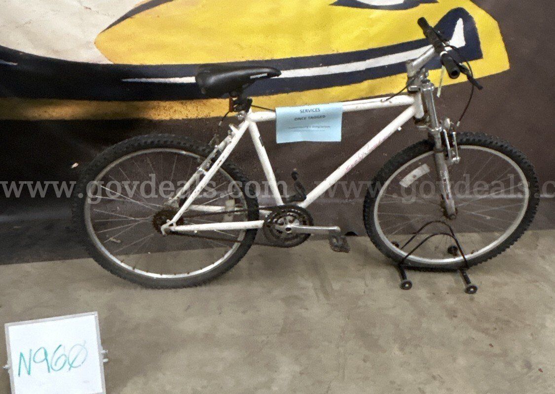 Specialized Rock Hopper, 20-Inch Ct