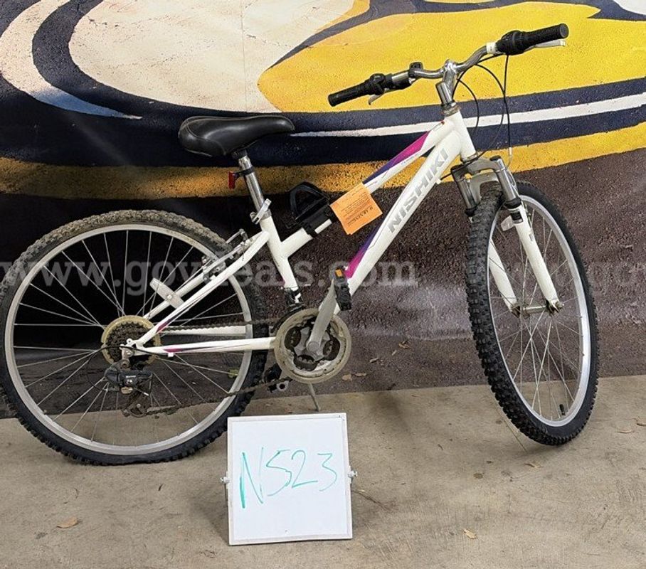 Nishiki Pueblo, 14-Inch Ct