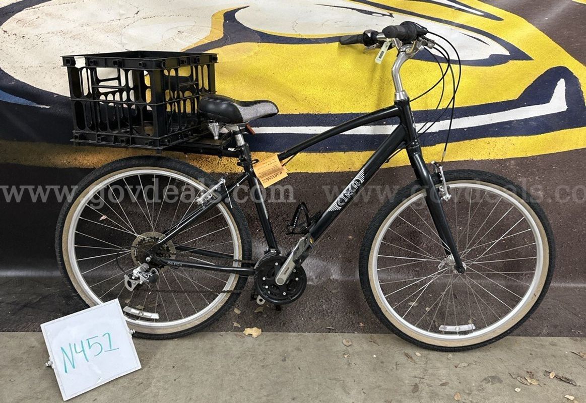 Raleigh Circa, 18-Inch Ct