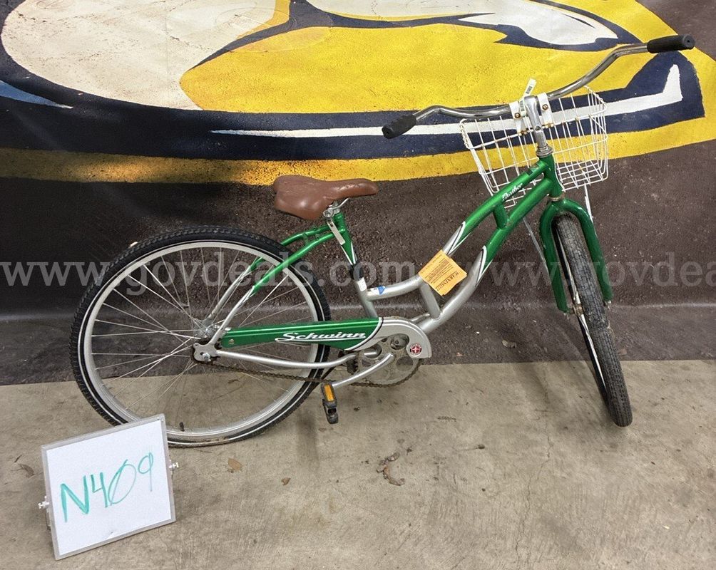 Schwinn Panther, 18-Inch Ct