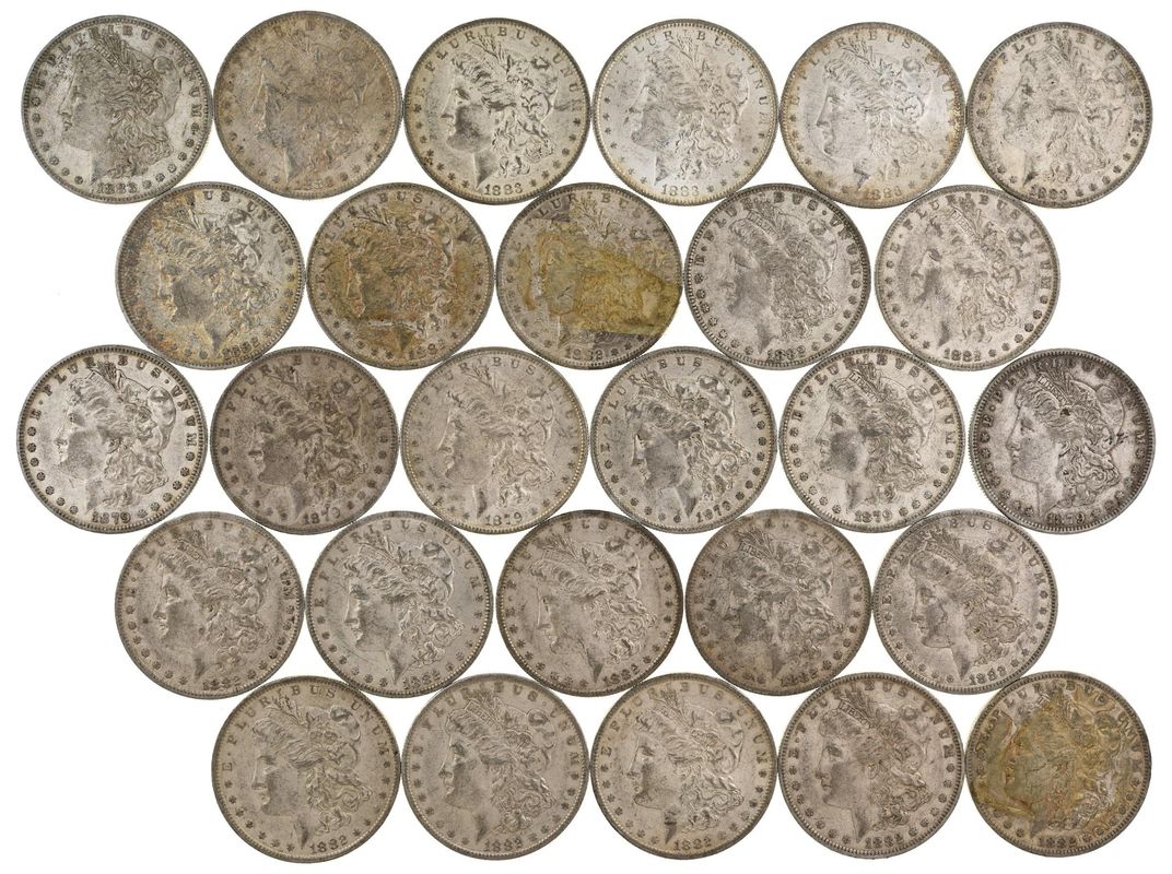 Morgan Dollar Lot 27 Pieces