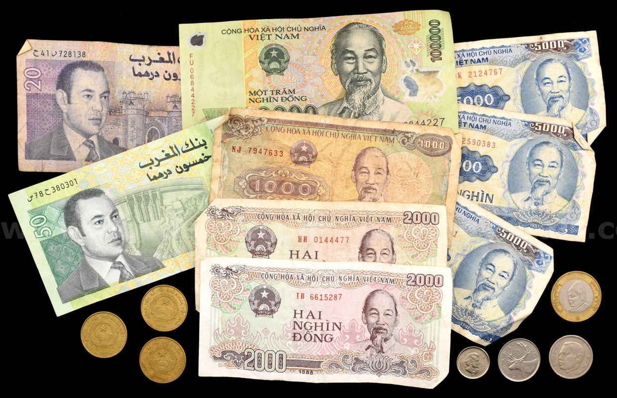Vietnamese Dong Paper Money and Foreign Coin & Currency Lot