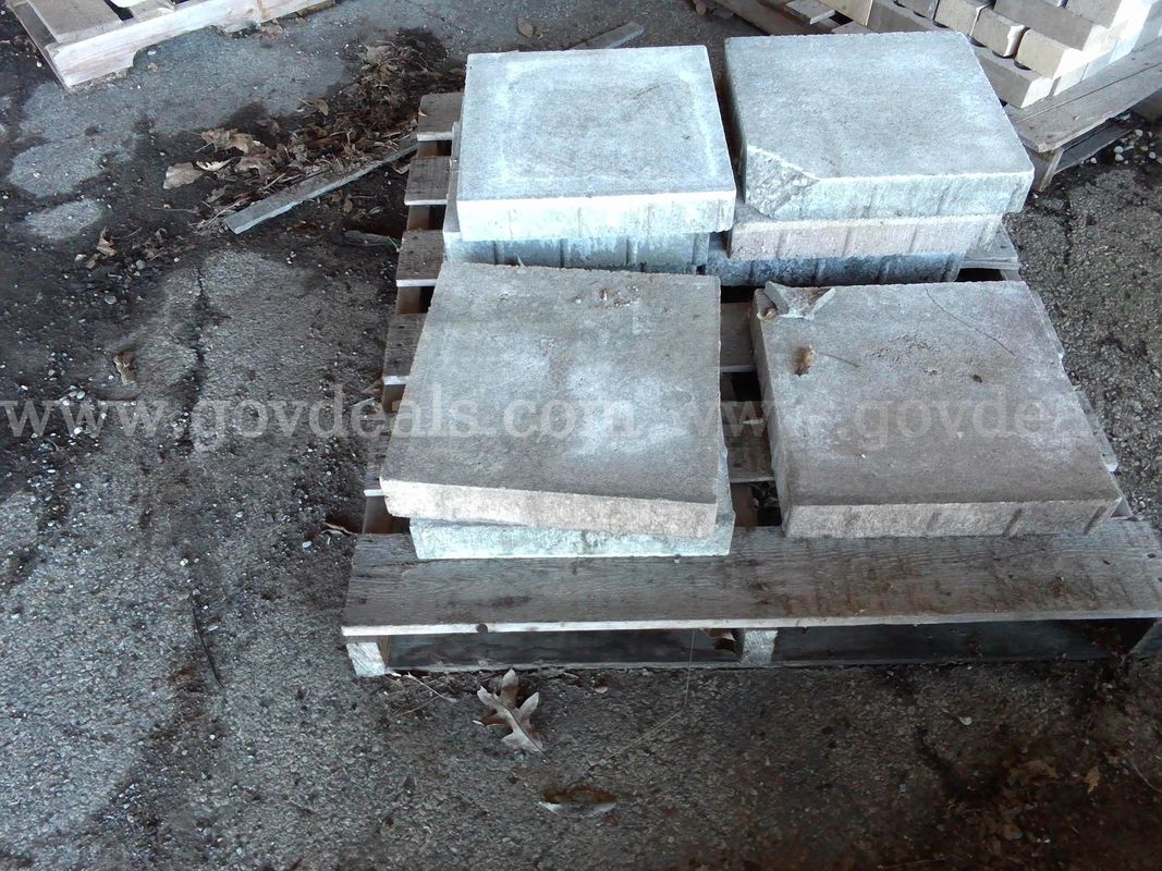 Stepping Stones/ Pavers
