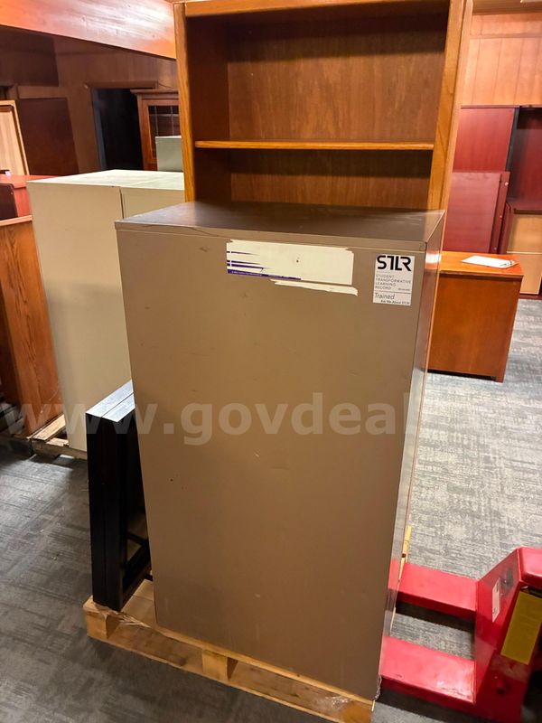 Miscellaneous items - File Cabinet, Bookshelf - 2 Art pieces