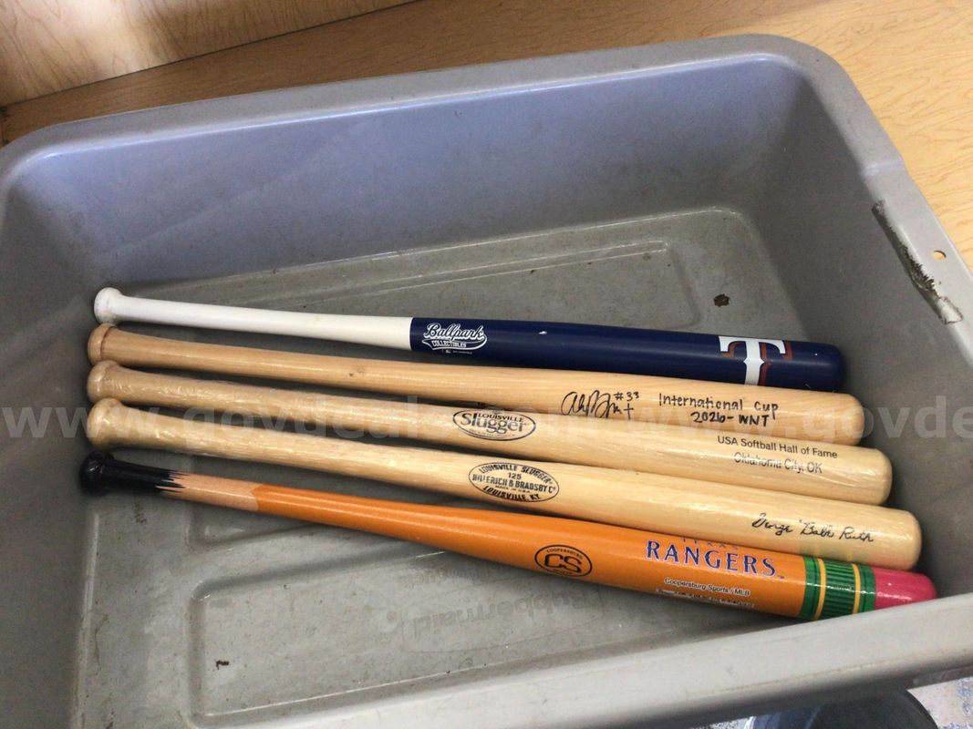 Souvenir bats, lot of 5