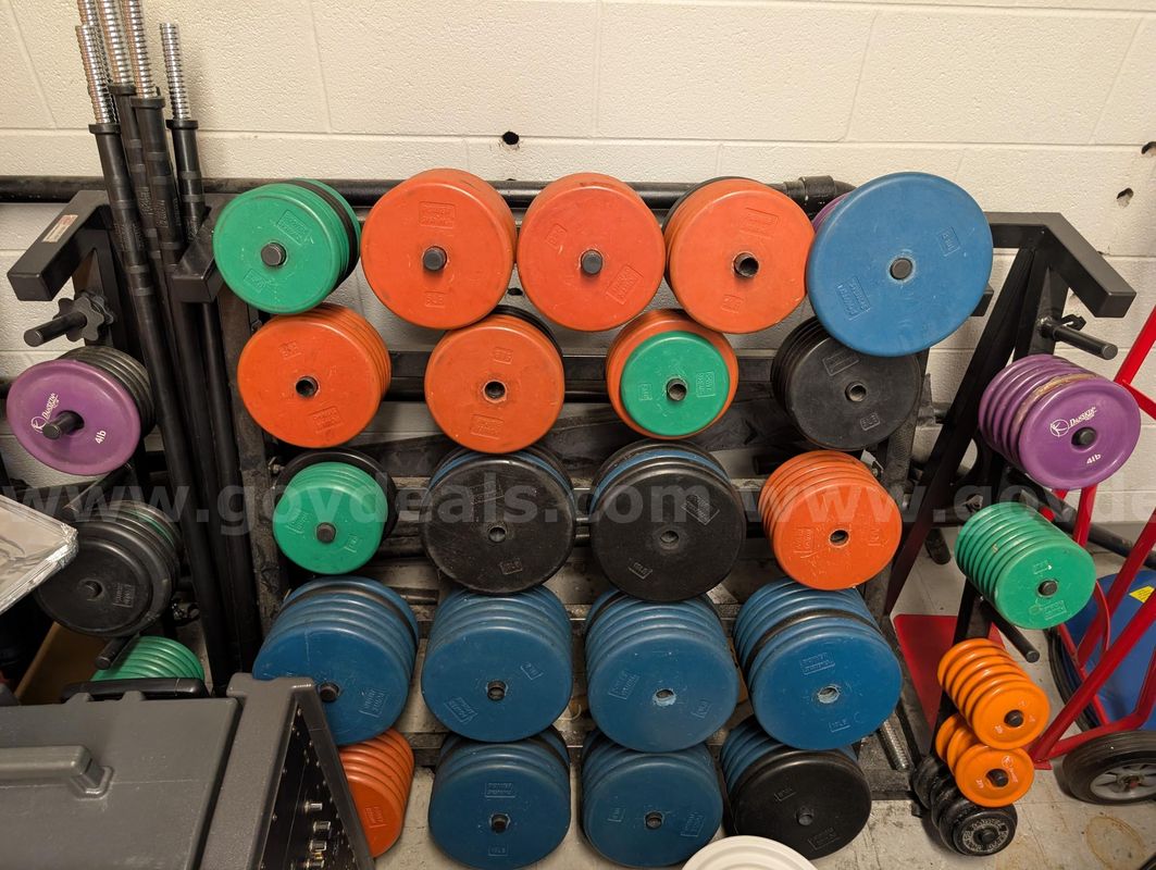 1 Lot of 1 Rack & Misc. Weights