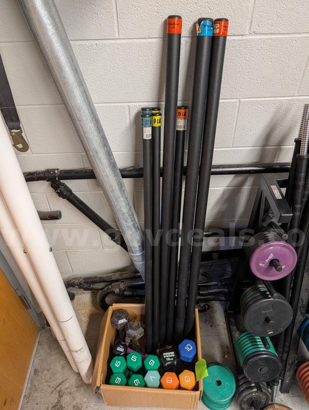 1 Lot of 8 Padded Weights Bars & 14 Misc. Dumbbells