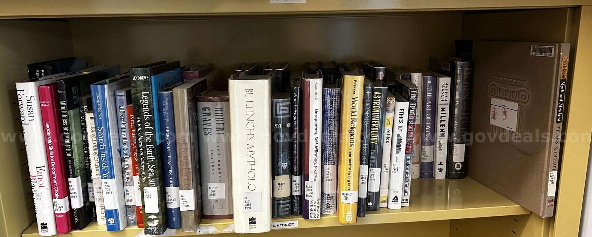 Lot of Library Books