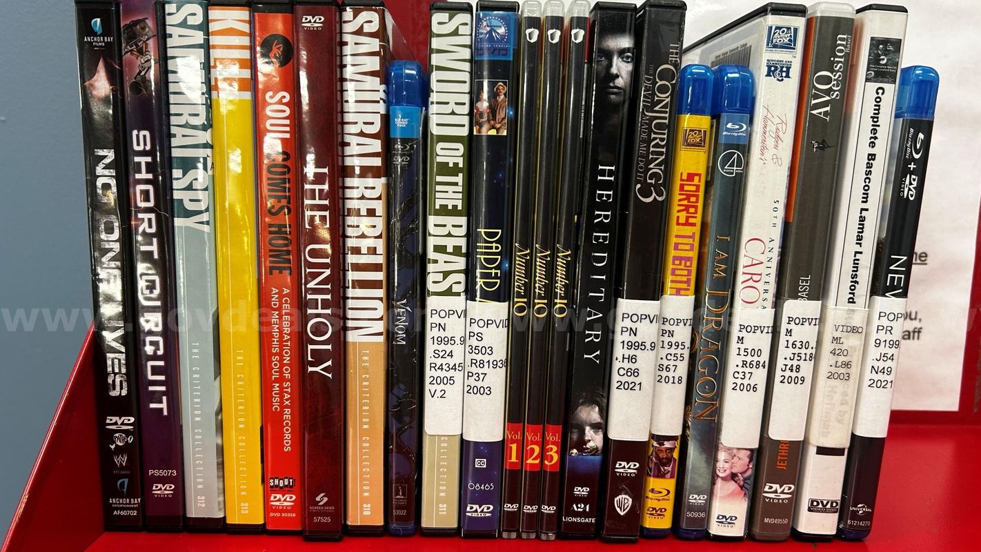 Lot of 21 DVDs