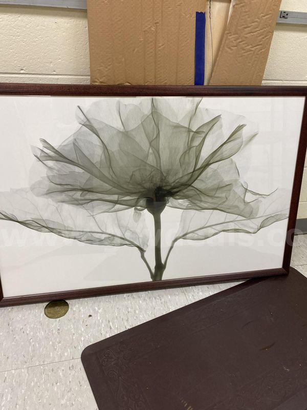 Wooden Framed Artwork of Flower Petals, Stem and Leaves
