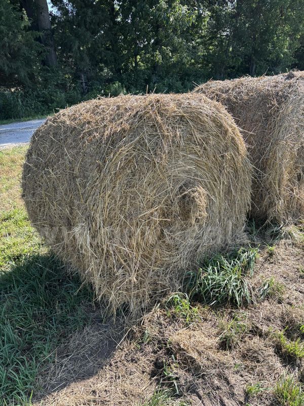 Bales of Hay