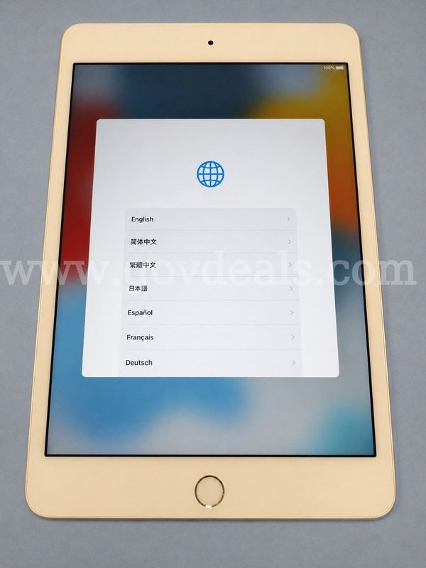 Apple iPad mini 4 16GB WiFi - Silver - Factory Reset