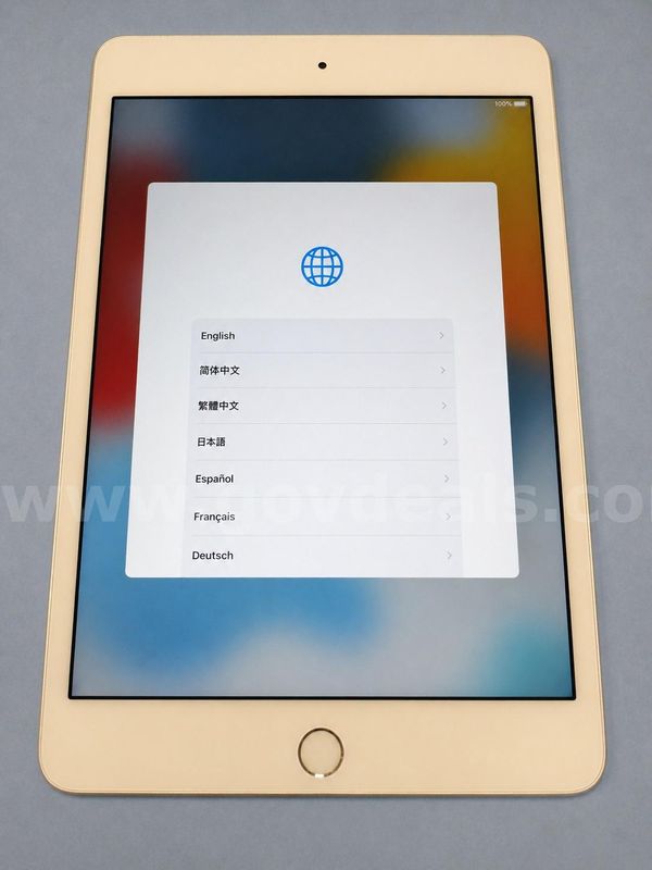 Apple iPad mini 4 16GB WiFi - Silver - Factory Reset